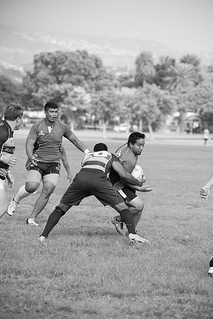 20170204-DSC_4477.jpg