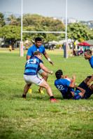 20170204-DSC_4481.jpg