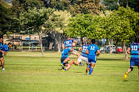 20170204-DSC_4451.jpg