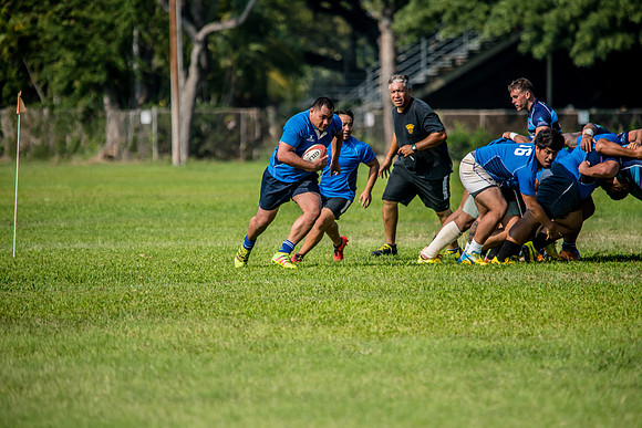 20170204-DSC_4726.jpg