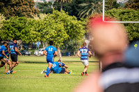 20170204-DSC_4454.jpg