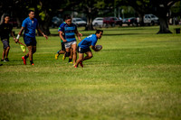 20170204-DSC_4387.jpg