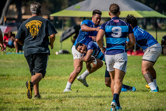 20170204-DSC_4699.jpg
