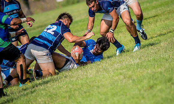 20170204-DSC_4746.jpg