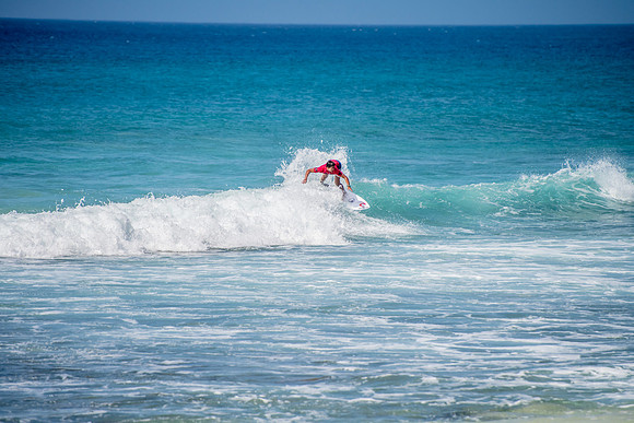 DSC_0243.jpg