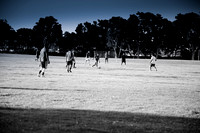 DSC_2330.jpg