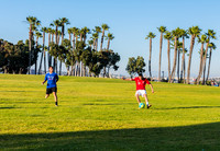 DSC_2336.jpg