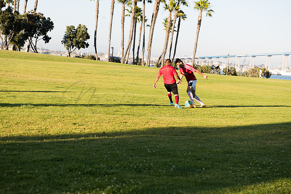 DSC_2339.jpg
