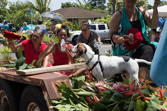 2017 Kailua Independence Parade
