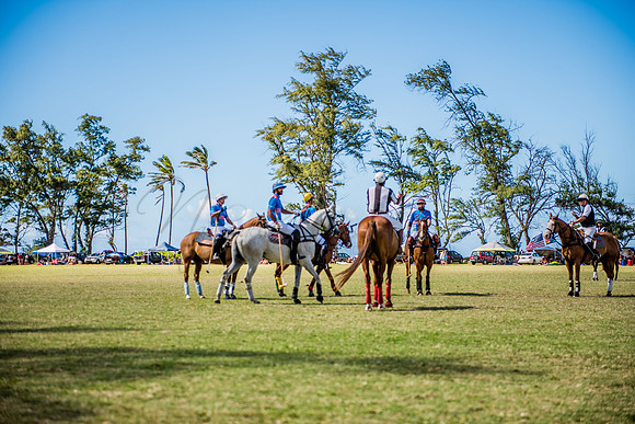 Hawaii Polo Life - India vs Hawaii