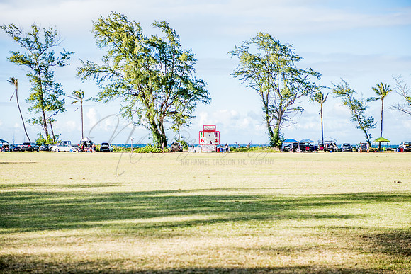 Hawaii Polo Life - India vs Hawaii