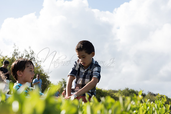 untitled shoot-298-2.jpg