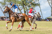180617_Polo 6.21031