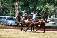 Wahine Hawaii Polo-3