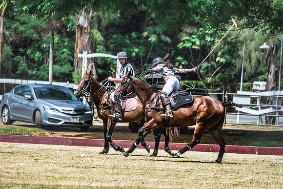 Wahine Hawaii Polo-3