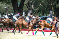 Wahine Hawaii Polo-2
