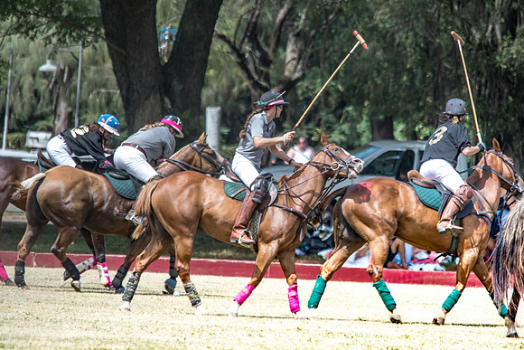 Wahine Hawaii Polo-2