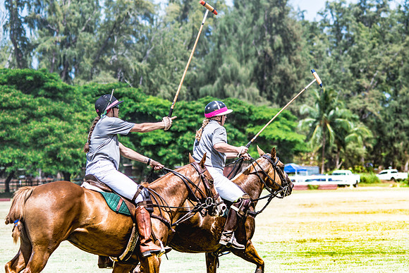 Wahine Hawaii Polo-5