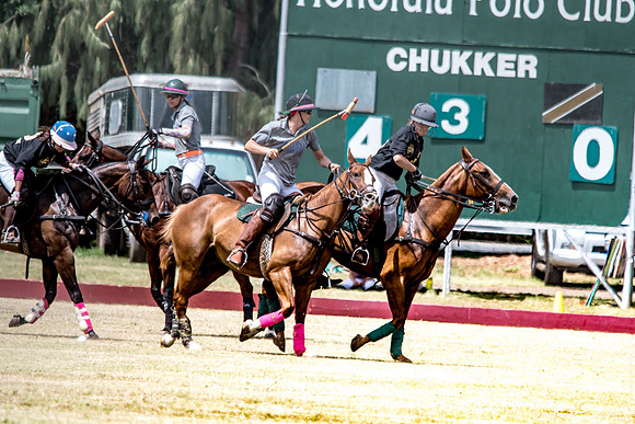 Wahine Hawaii Polo-1