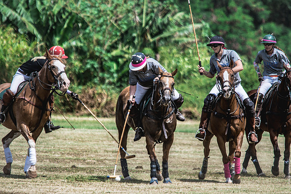 Wahine Hawaii Polo-6