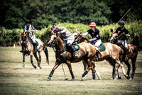 Wahine Hawaii Polo-7
