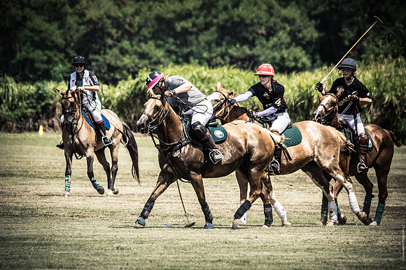 Wahine Hawaii Polo-7