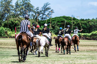 Wahine Hawaii Polo-15