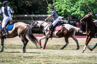 Wahine Hawaii Polo-17