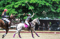 Wahine Hawaii Polo-18