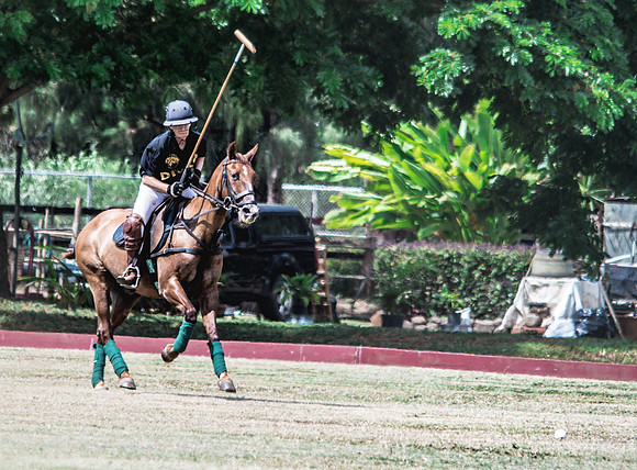 Wahine Hawaii Polo-21