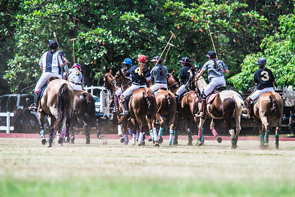 Wahine Hawaii Polo-22