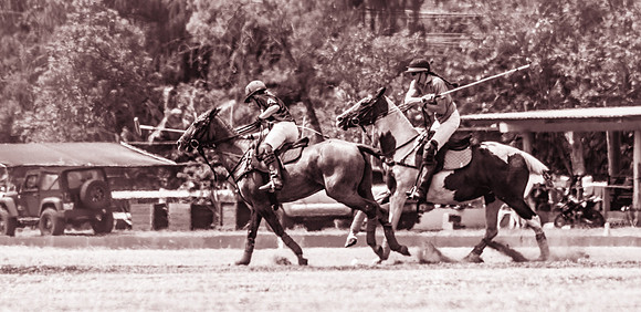 Wahine Hawaii Polo-23