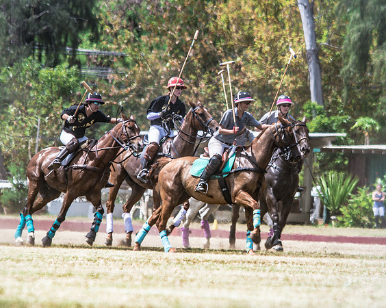 Wahine Hawaii Polo-24