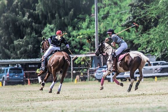 Wahine Hawaii Polo-25