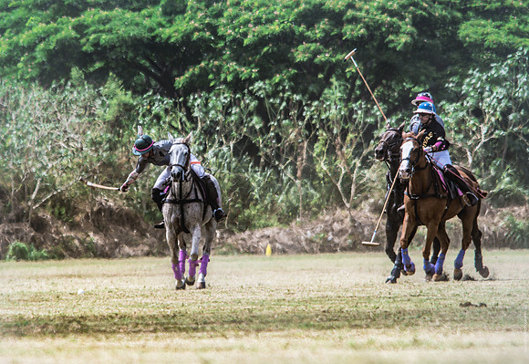 Wahine Hawaii Polo-26