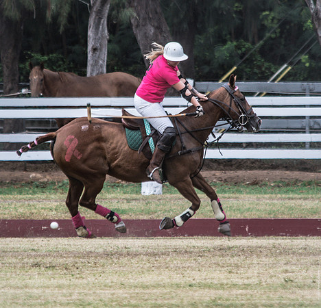 Wahine Hawaii Polo-43