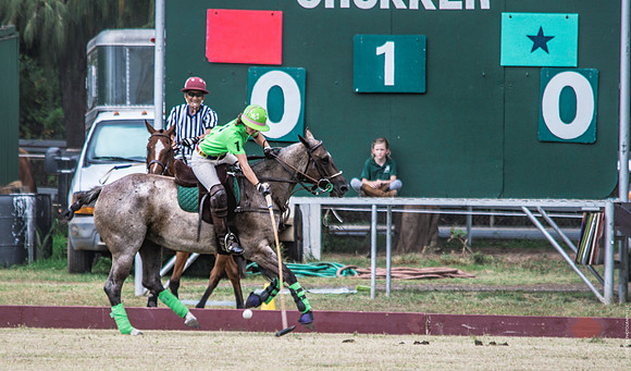 Wahine Hawaii Polo-44