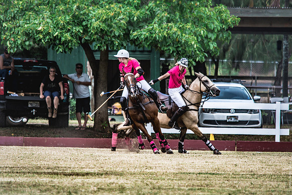 Wahine Hawaii Polo-46