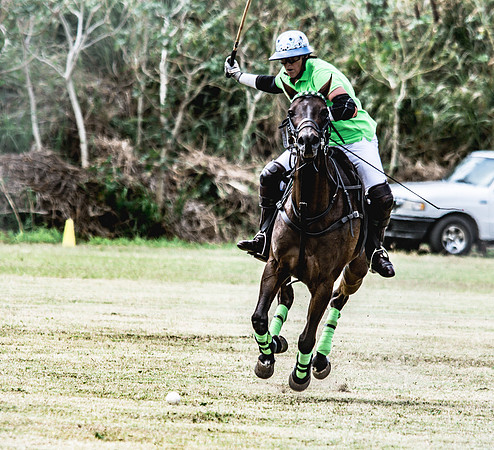 Wahine Hawaii Polo-47