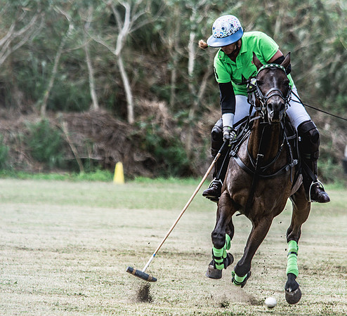 Wahine Hawaii Polo-48