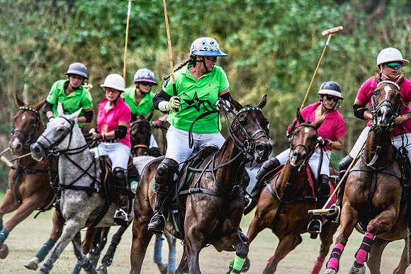 Wahine Hawaii Polo-49