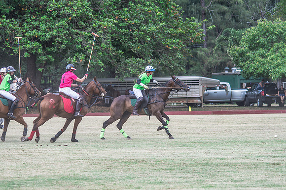 Wahine Hawaii Polo-51