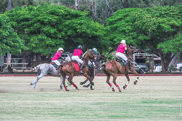 Wahine Hawaii Polo-52