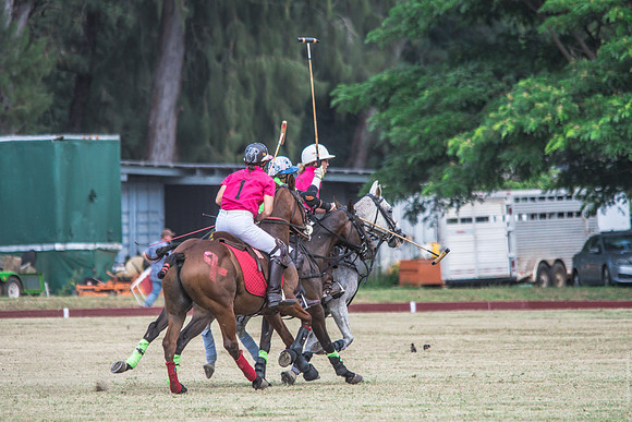 Wahine Hawaii Polo-53
