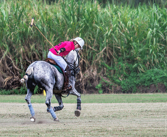 Wahine Hawaii Polo-54
