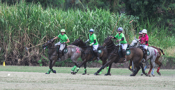 Wahine Hawaii Polo-55