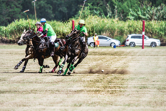 Wahine Hawaii Polo-56