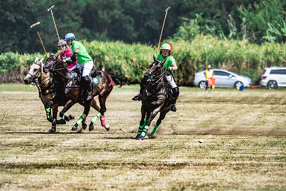 Wahine Hawaii Polo-57