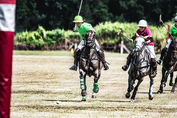 Wahine Hawaii Polo-58