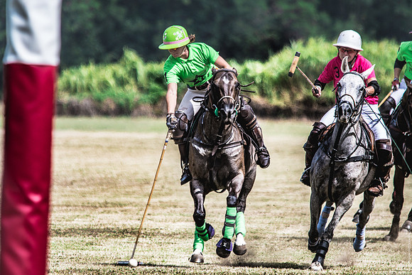 Wahine Hawaii Polo-59